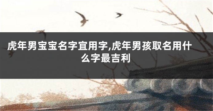 虎年男宝宝名字宜用字,虎年男孩取名用什么字最吉利