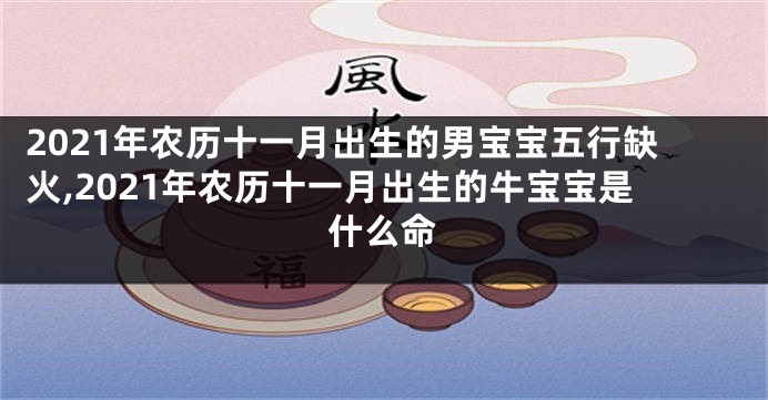 2021年农历十一月出生的男宝宝五行缺火,2021年农历十一月出生的牛宝宝是什么命