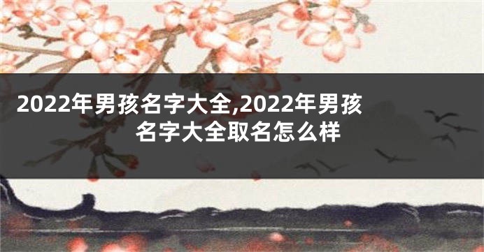 2022年男孩名字大全,2022年男孩名字大全取名怎么样