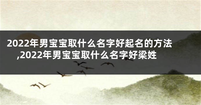 2022年男宝宝取什么名字好起名的方法,2022年男宝宝取什么名字好梁姓