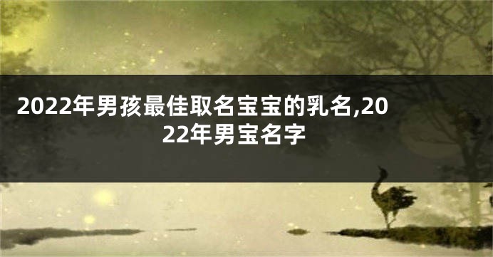 2022年男孩最佳取名宝宝的乳名,2022年男宝名字