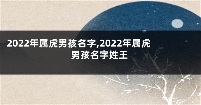 2022年属虎男孩名字,2022年属虎男孩名字姓王