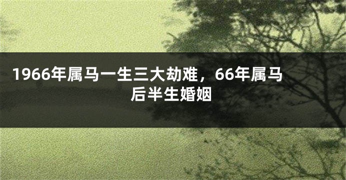 1966年属马一生三大劫难,66年属马后半生婚姻