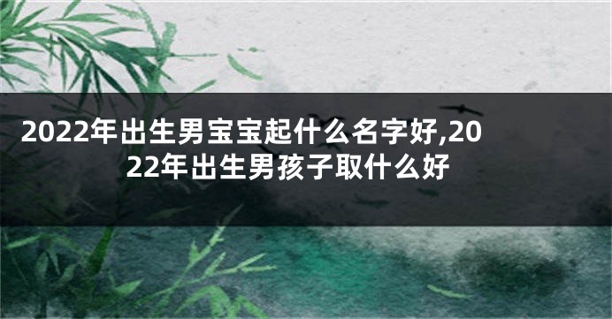 2022年出生男宝宝起什么名字好,2022年出生男孩子取什么好