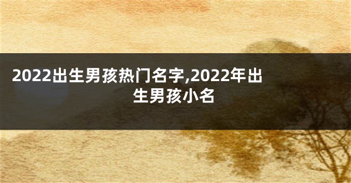 2022出生男孩热门名字,2022年出生男孩小名