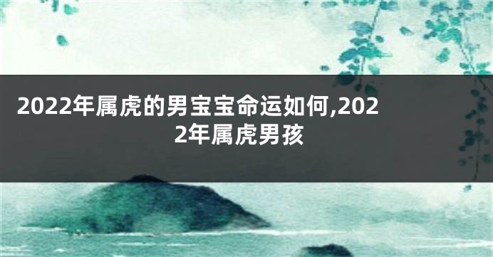 2022年属虎的男宝宝命运如何,2022年属虎男孩