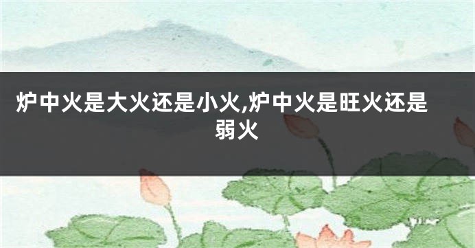 炉中火是大火还是小火,炉中火是旺火还是弱火