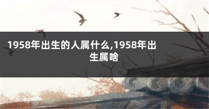 1958年出生的人属什么,1958年出生属啥