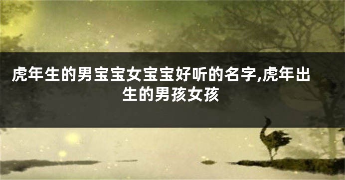 虎年生的男宝宝女宝宝好听的名字,虎年出生的男孩女孩