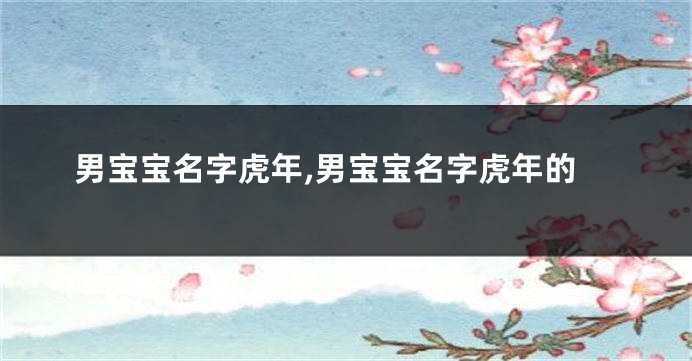 男宝宝名字虎年,男宝宝名字虎年的