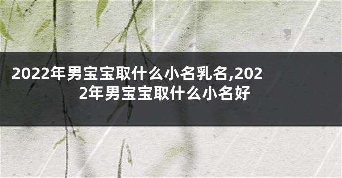 2022年男宝宝取什么小名乳名,2022年男宝宝取什么小名好
