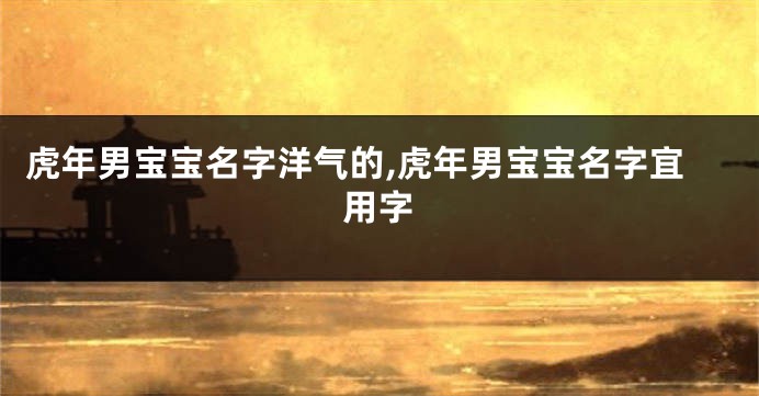 虎年男宝宝名字洋气的,虎年男宝宝名字宜用字