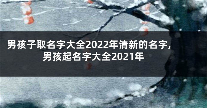 男孩子取名字大全2022年清新的名字,男孩起名字大全2021年