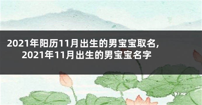 2021年阳历11月出生的男宝宝取名,2021年11月出生的男宝宝名字