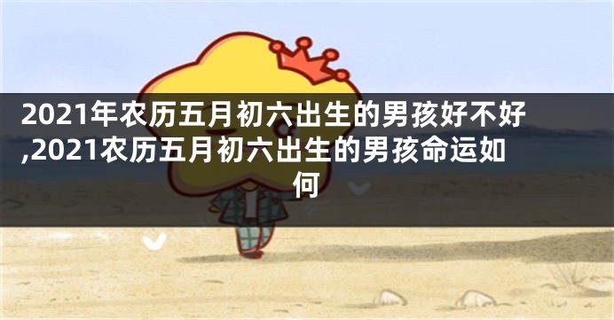 2021年农历五月初六出生的男孩好不好,2021农历五月初六出生的男孩命运如何