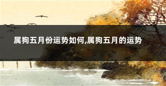 属狗五月份运势如何,属狗五月的运势