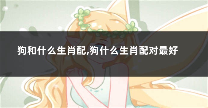 狗和什么生肖配,狗什么生肖配对最好