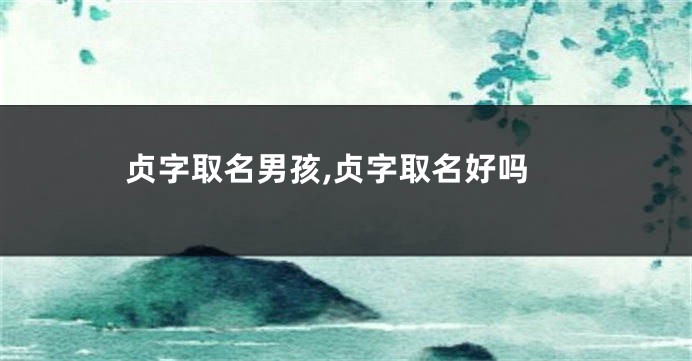 贞字取名男孩,贞字取名好吗