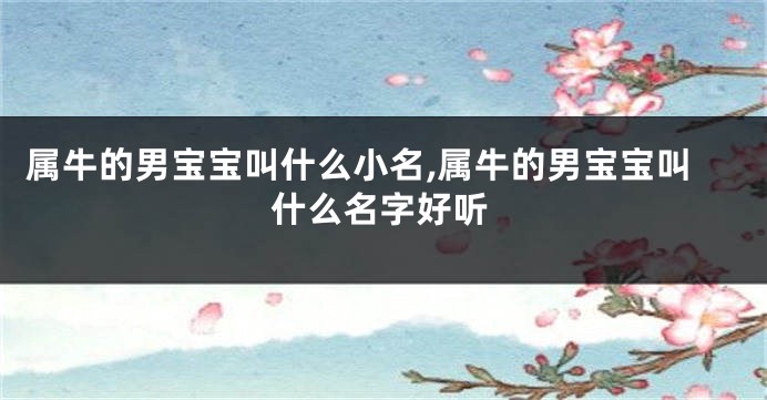 属牛的男宝宝叫什么小名,属牛的男宝宝叫什么名字好听