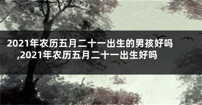 2021年农历五月二十一出生的男孩好吗,2021年农历五月二十一出生好吗