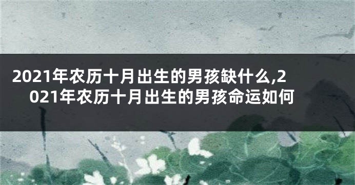 2021年农历十月出生的男孩缺什么,2021年农历十月出生的男孩命运如何