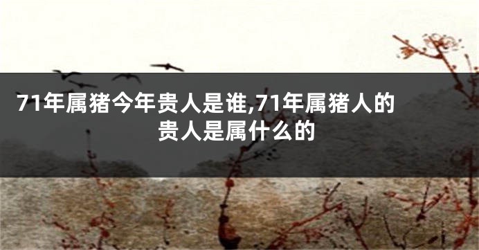 71年属猪今年贵人是谁,71年属猪人的贵人是属什么的