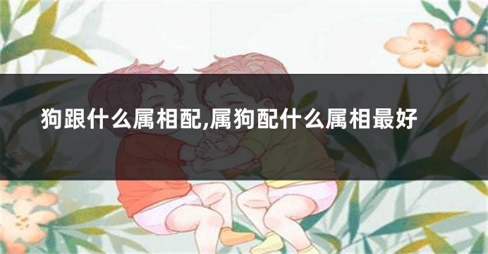 狗跟什么属相配,属狗配什么属相最好