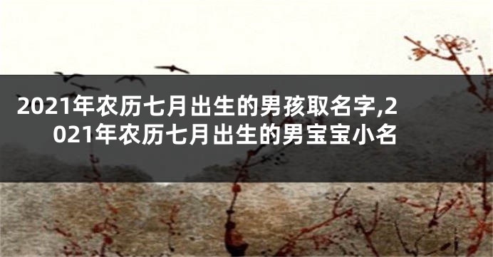 2021年农历七月出生的男孩取名字,2021年农历七月出生的男宝宝小名