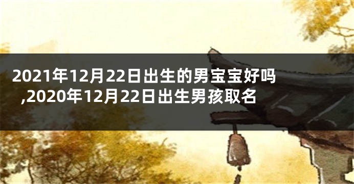 2021年12月22日出生的男宝宝好吗,2020年12月22日出生男孩取名