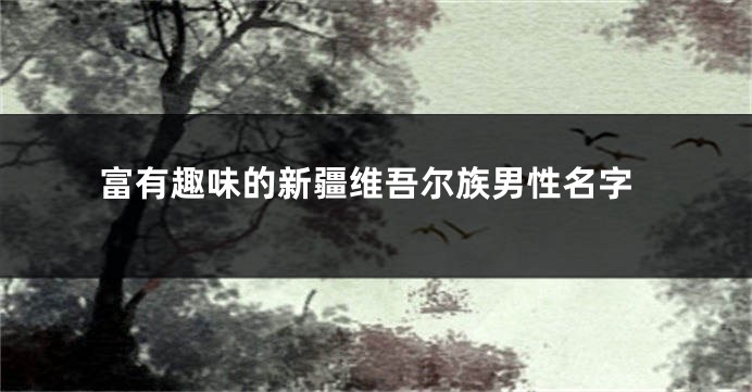 富有趣味的新疆维吾尔族男性名字
