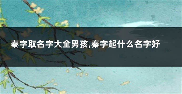 秦字取名字大全男孩,秦字起什么名字好