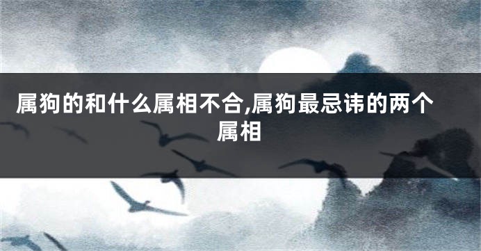 属狗的和什么属相不合,属狗最忌讳的两个属相