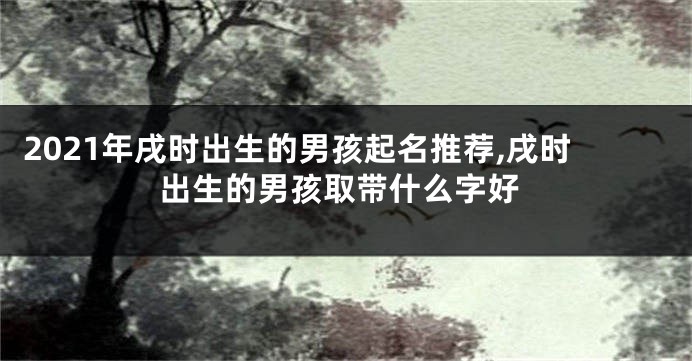 2021年戌时出生的男孩起名推荐,戌时出生的男孩取带什么字好