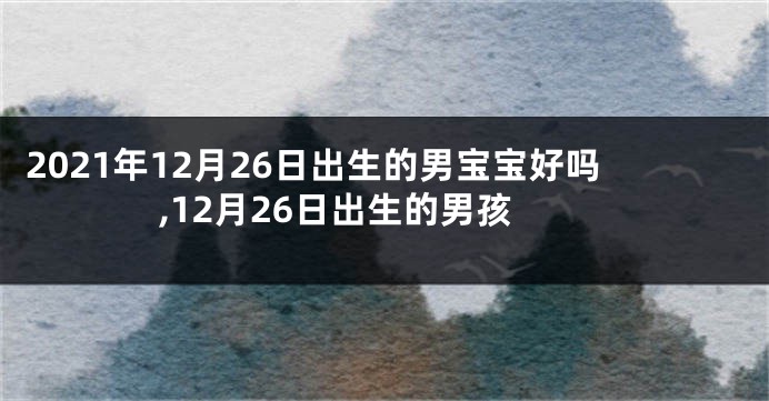 2021年12月26日出生的男宝宝好吗,12月26日出生的男孩