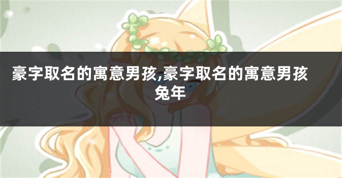 豪字取名的寓意男孩,豪字取名的寓意男孩兔年