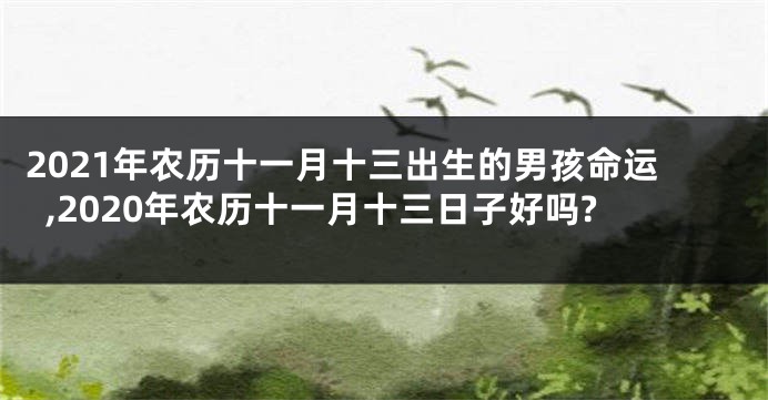 2021年农历十一月十三出生的男孩命运,2020年农历十一月十三日子好吗?