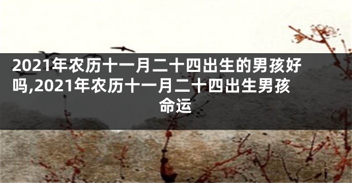 2021年农历十一月二十四出生的男孩好吗,2021年农历十一月二十四出生男孩命运