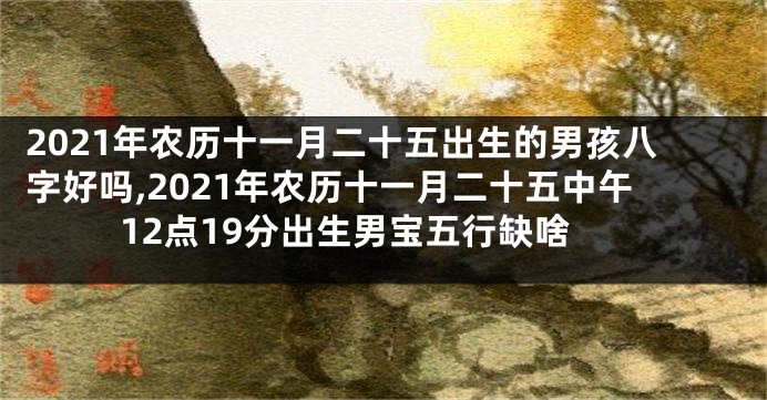 2021年农历十一月二十五出生的男孩八字好吗,2021年农历十一月二十五中午12点19分出生男宝五行缺啥