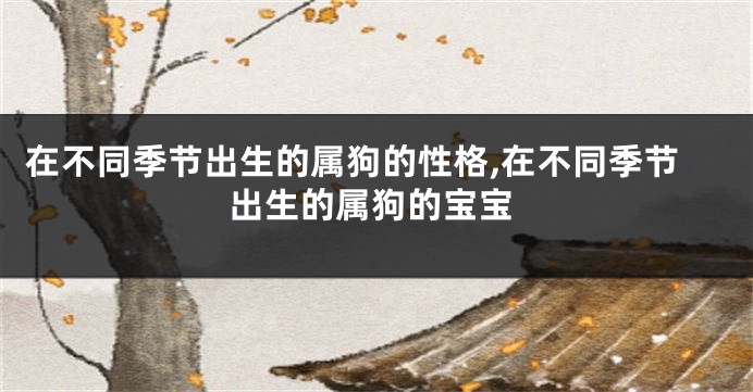 在不同季节出生的属狗的性格,在不同季节出生的属狗的宝宝
