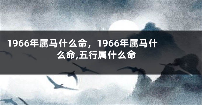 1966年属马什么命,1966年属马什么命,五行属什么命