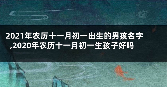 2021年农历十一月初一出生的男孩名字,2020年农历十一月初一生孩子好吗