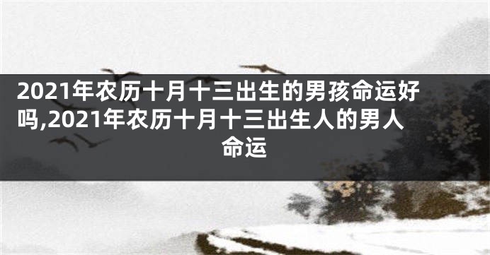 2021年农历十月十三出生的男孩命运好吗,2021年农历十月十三出生人的男人命运