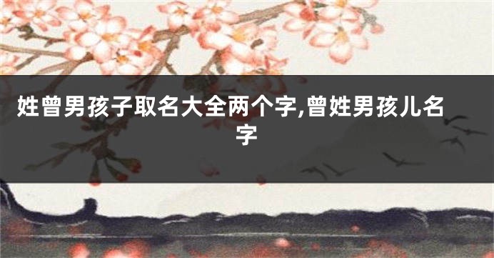 姓曾男孩子取名大全两个字,曾姓男孩儿名字