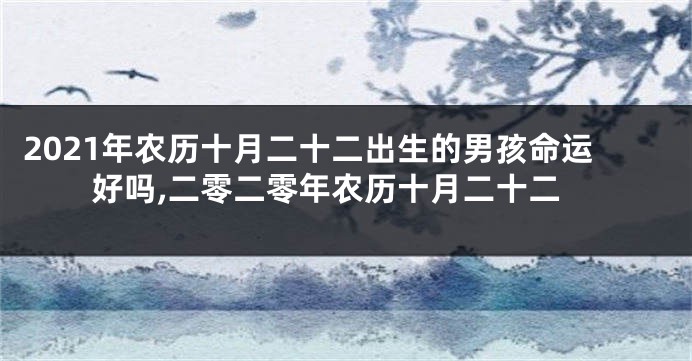 2021年农历十月二十二出生的男孩命运好吗,二零二零年农历十月二十二