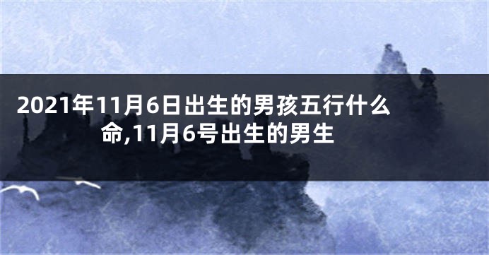 2021年11月6日出生的男孩五行什么命,11月6号出生的男生