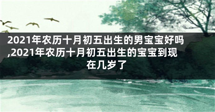 2021年农历十月初五出生的男宝宝好吗,2021年农历十月初五出生的宝宝到现在几岁了