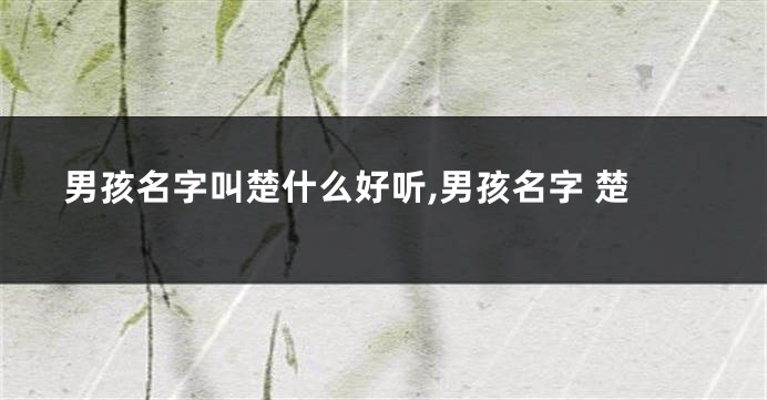 男孩名字叫楚什么好听,男孩名字 楚