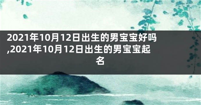 2021年10月12日出生的男宝宝好吗,2021年10月12日出生的男宝宝起名