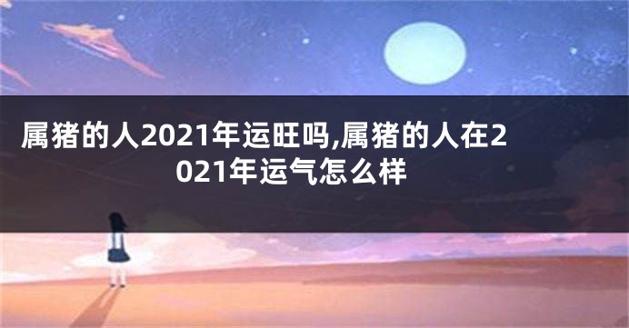 属猪的人2021年运旺吗,属猪的人在2021年运气怎么样