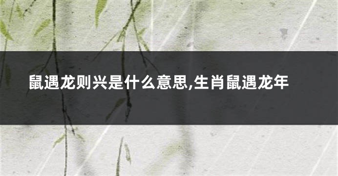 鼠遇龙则兴是什么意思,生肖鼠遇龙年